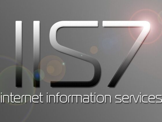 Setting up an IIS Web Server on Vista Business With MsSQL and PHP support