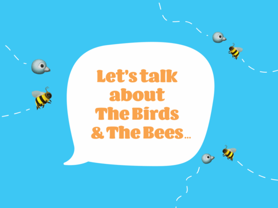 The Birds and The Bees and the 8-year old Boy