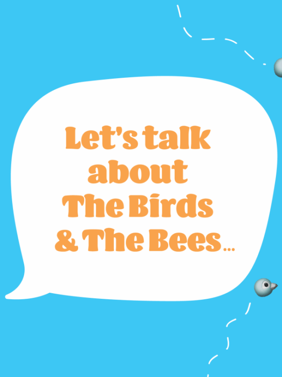 The Birds and The Bees and the 8-year old Boy