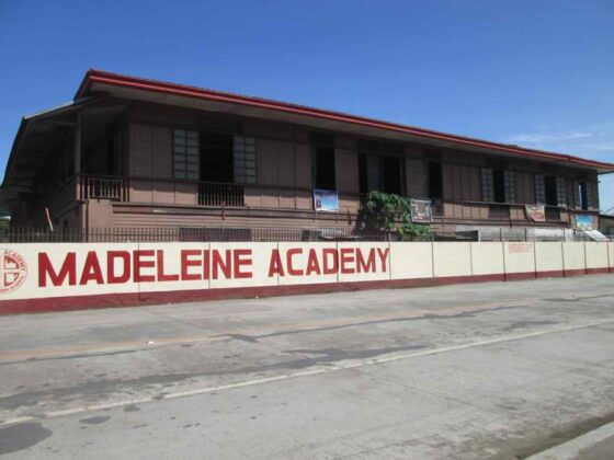 Madeleine Academy: What are you teaching my boy?