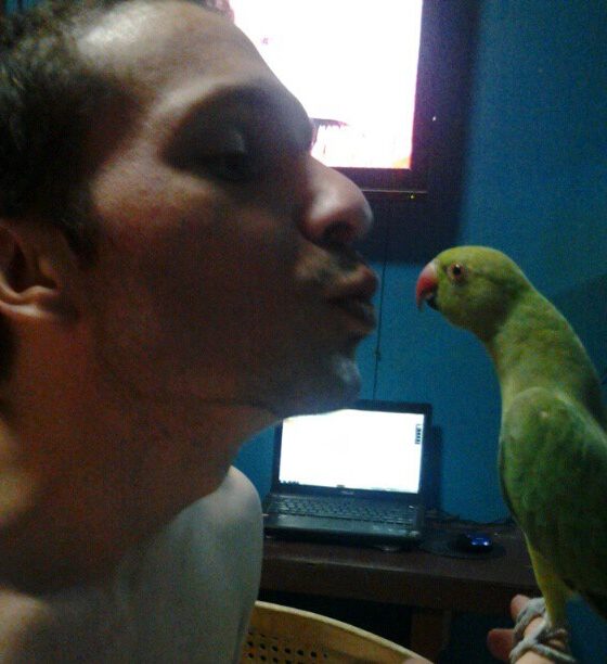 Indian RingNecks are NOT Hats!