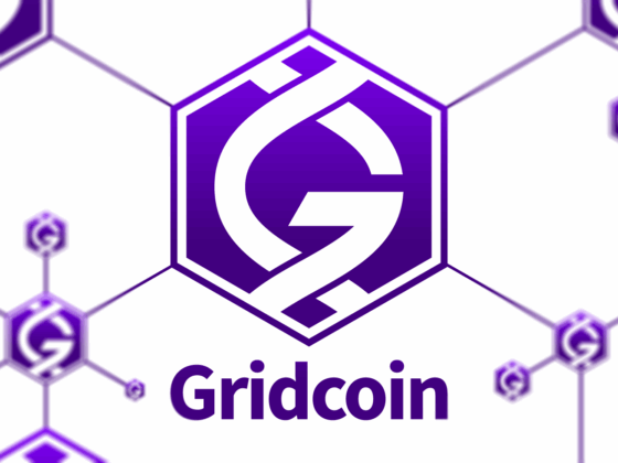 Gridcoin + BOINC is a Charity, NOT an investment! It is also a SCAM!